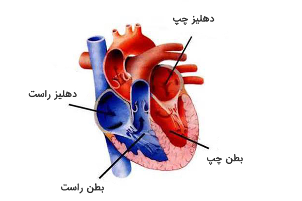 راهنمای آموزشی بیماران جراحی دریچه های قلبی