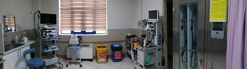 Endoscopy
